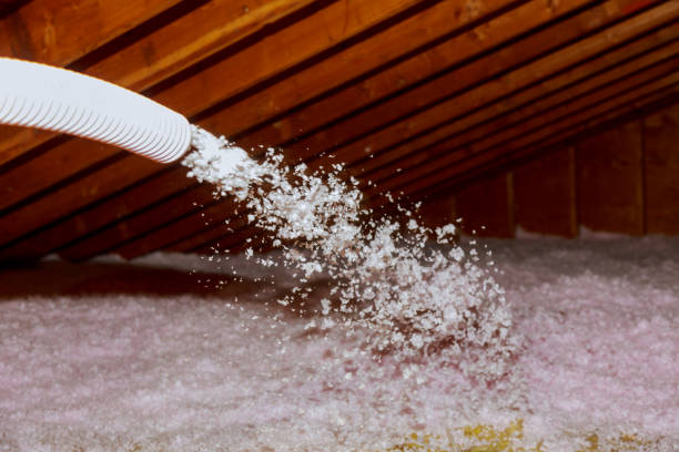 Best Specialized Insulation Services in Bel Air North, MD