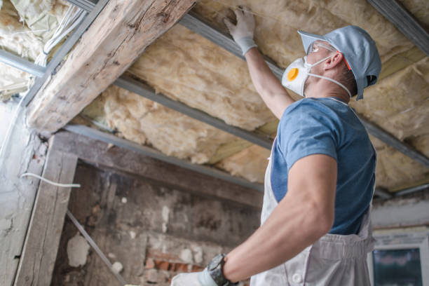 Best Insulation Maintenance and Repair in Bel Air North, MD